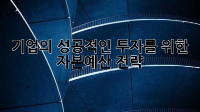 기업의 성공적인 투자를 위한 자본예산 전략