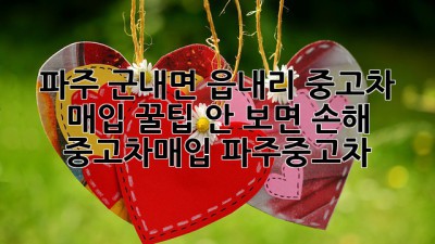 파주 군내면, 읍내리 중고차 매입 꿀팁🍯 안 보면 손해! #중고차매입 #파주중고차